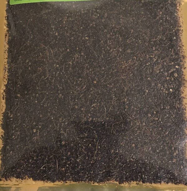 CPC Ground Uda Seed 100g